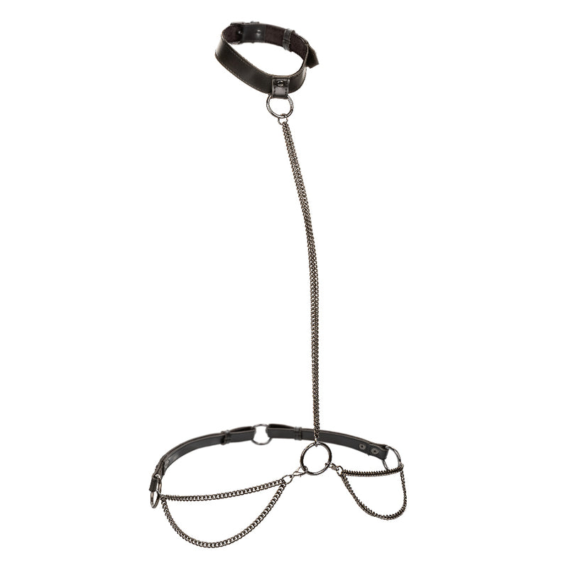 "Euphoria Collection Chain Halter/collar and Leash - Black SE3101003"
